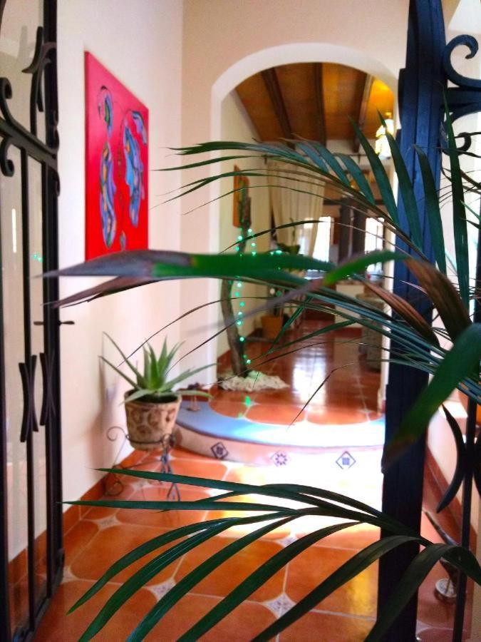 Pozzito Boutique San Miguel de Allende Exterior foto